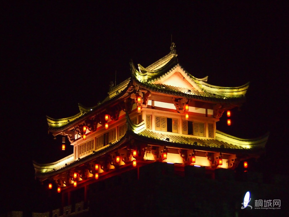 P7288491.jpg