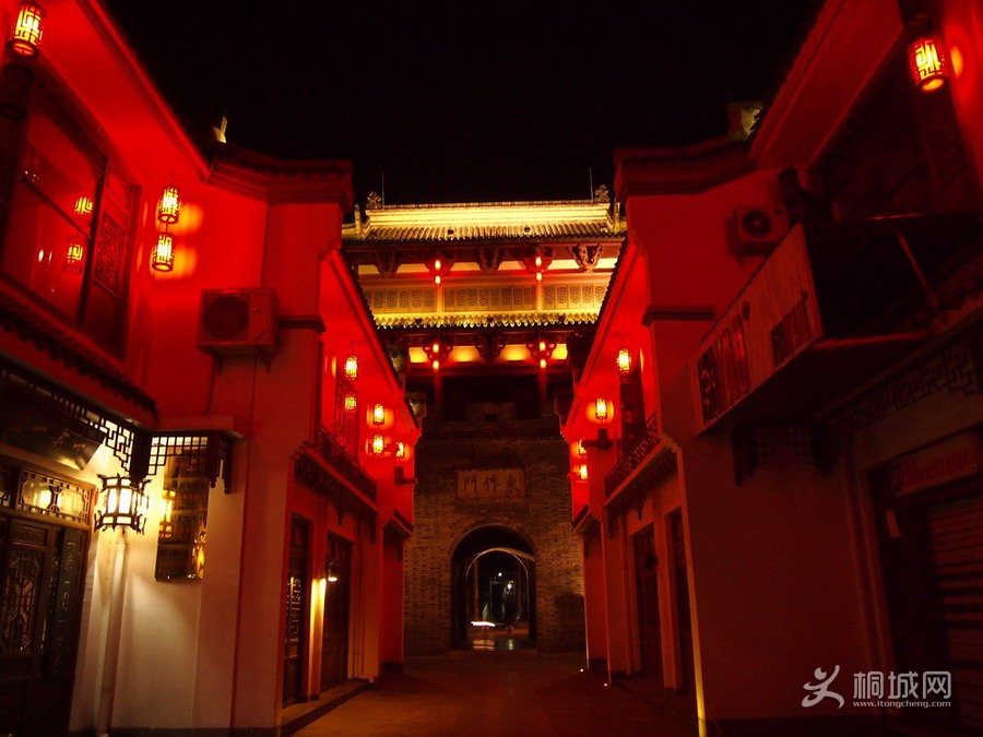 P7288580.jpg