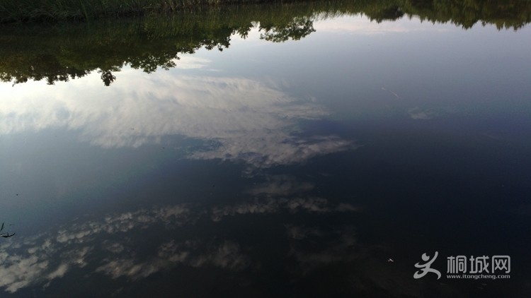 ������,����ˮ�����ܷ���ô?