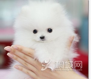 ���źܲ���