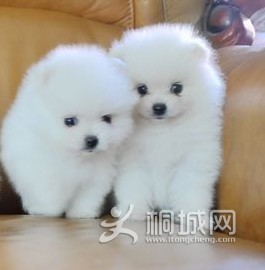 Ů���� ����ؼ���