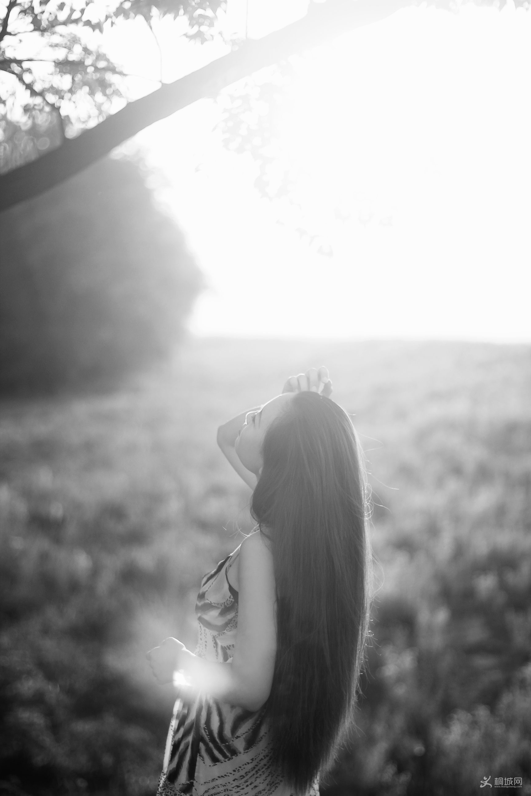 Ƭ 035.jpg