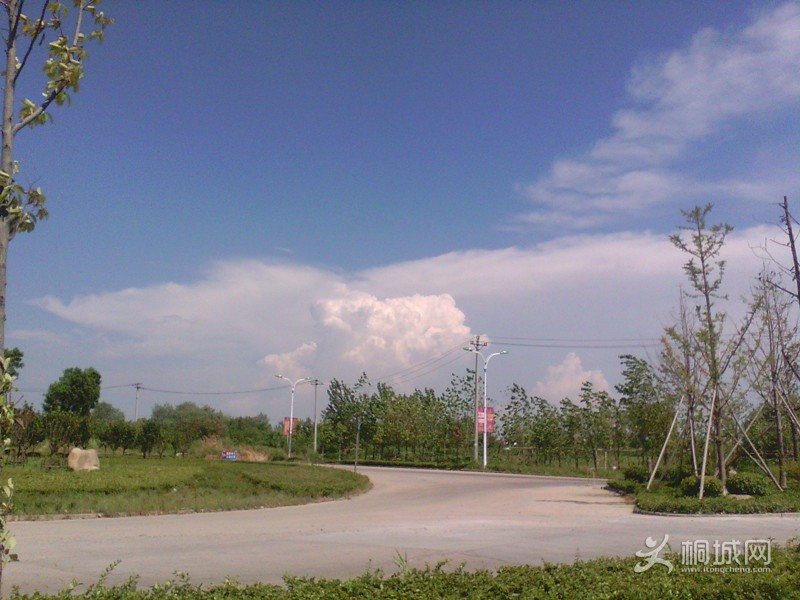 IMG_20130815_142845115.jpg