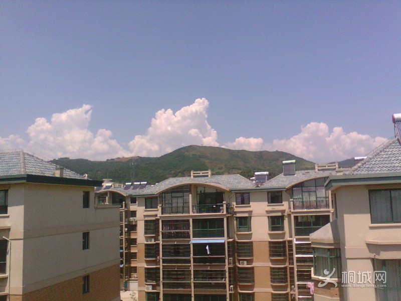 IMG_20130815_120831629.jpg