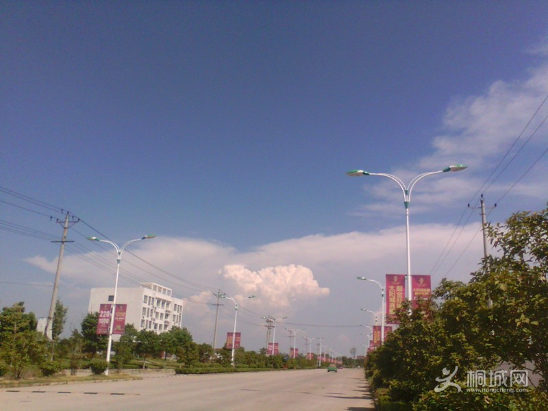 IMG_20130815_142705586.jpg