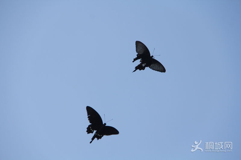 IMG_2851_ - .jpg
