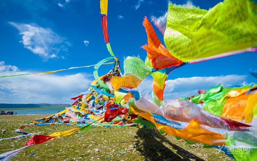 QQͼƬ20130822134443.jpg