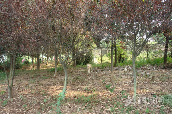 DSC00857_.jpg