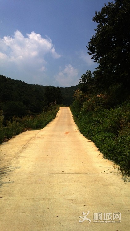 WP_20130818_004.jpg