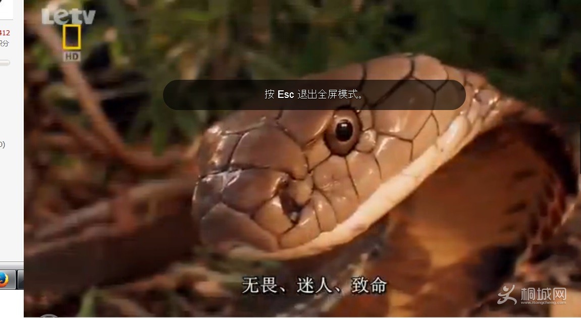 ޱ5.jpg