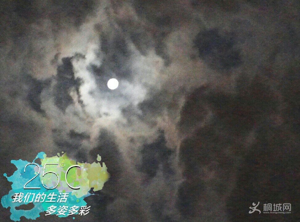 1379600370_7857_1330_android.jpg