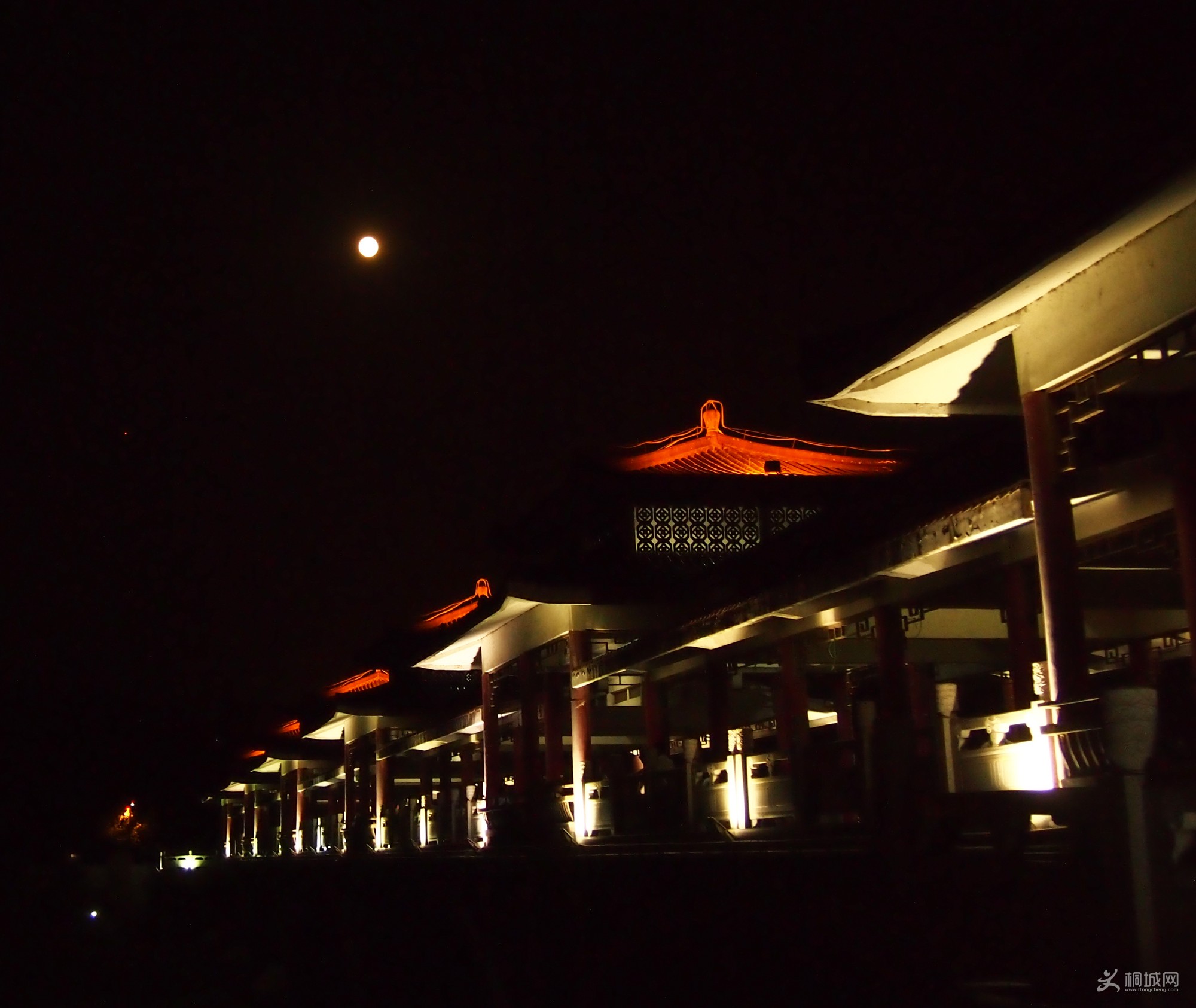 P9192219-3.jpg