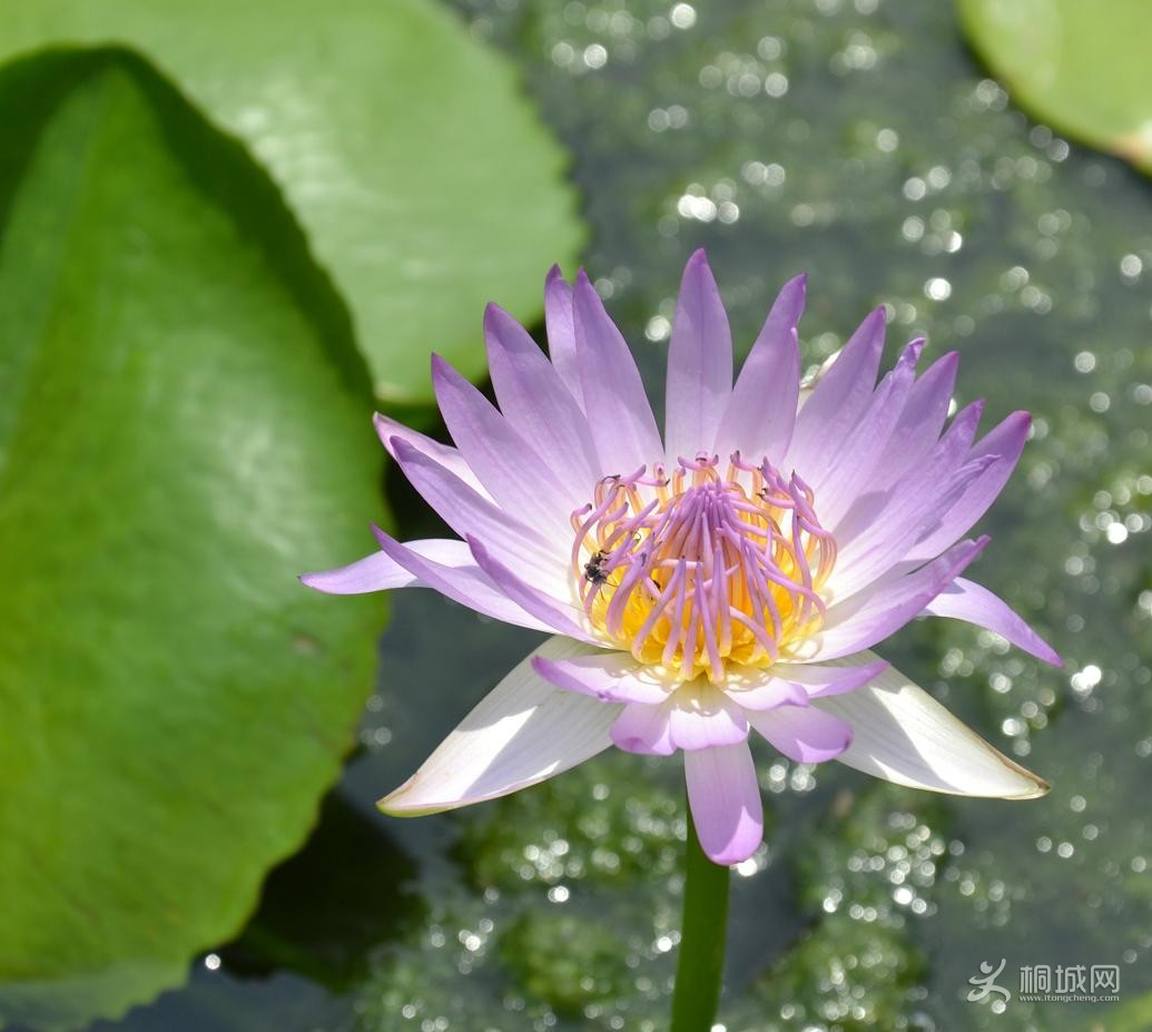 DSC_0266.JPG