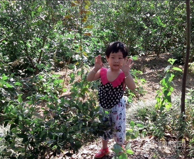 QQͼƬ20130928175612.jpg