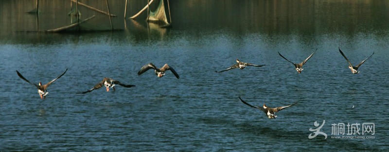 14IMG_8980.JPG