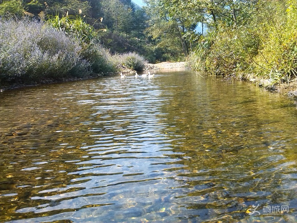 IMG_20131006_120841.jpg