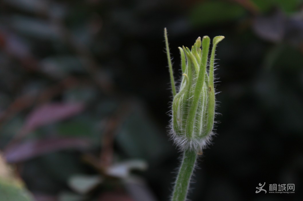 QQͼ20131008081538.jpg