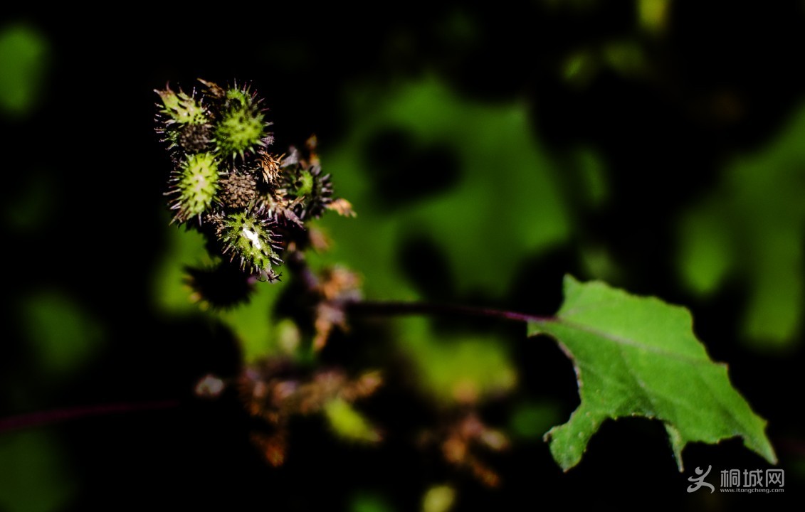 QQͼ20131009215127.jpg