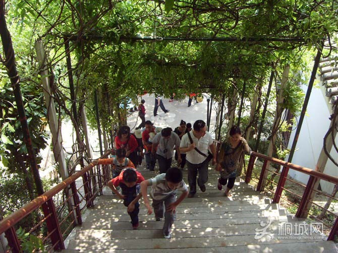 psuCA59OID7.jpg