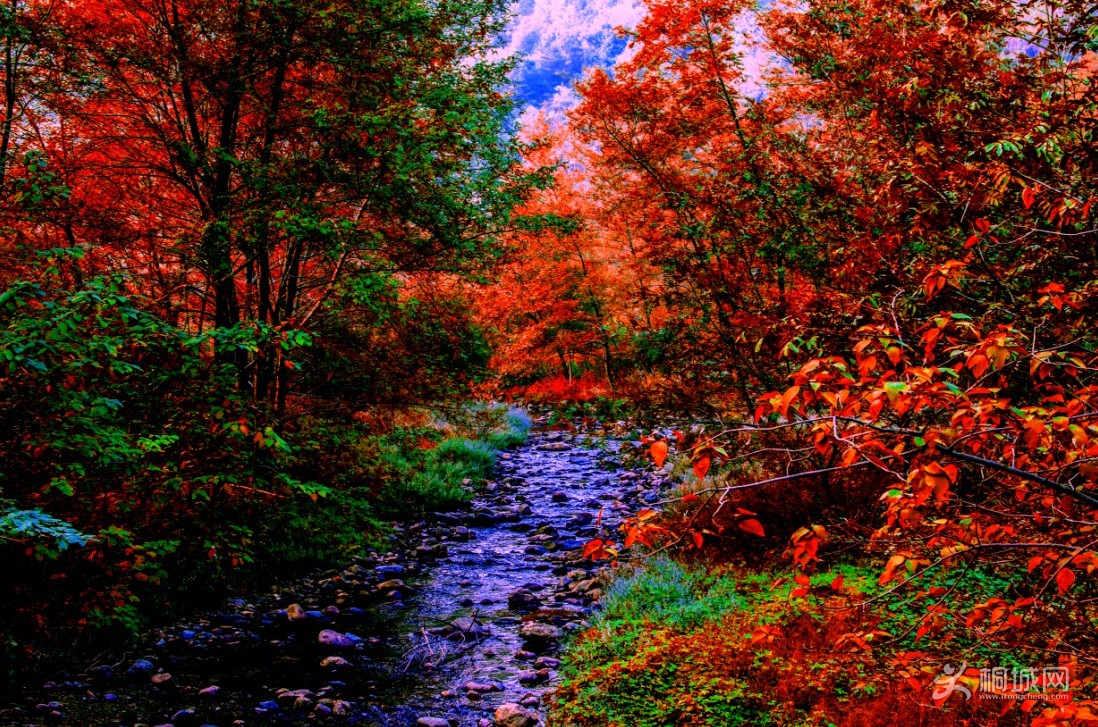 QQͼ20131013133336.jpg