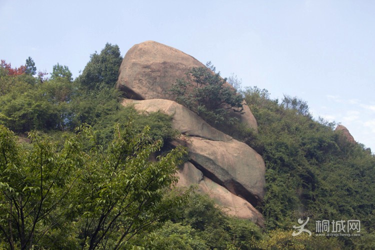 IMGM6219.jpg
