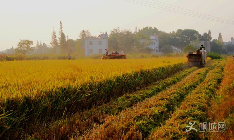 DSC00028_.jpg