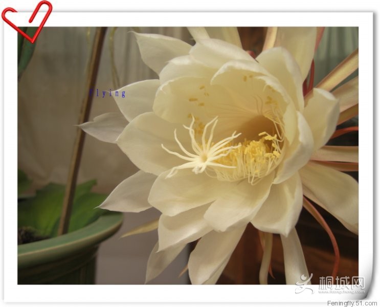 2b72b51c5b5270f4cdb1cb5c4b48ead6.jpg