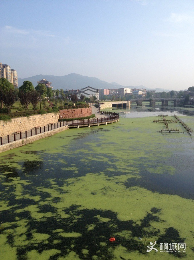 QQ20130917080051.jpg