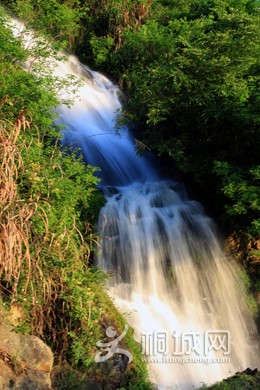 IMG_0186.jpg
