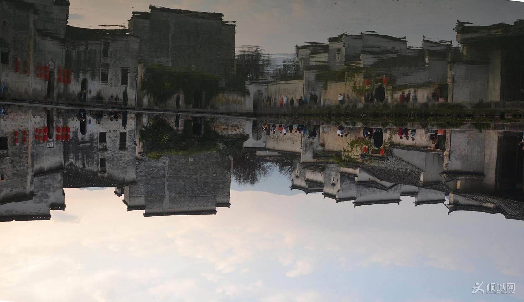 DSC_0955.JPG
