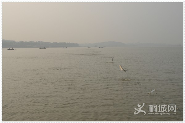 xizihu05.jpg