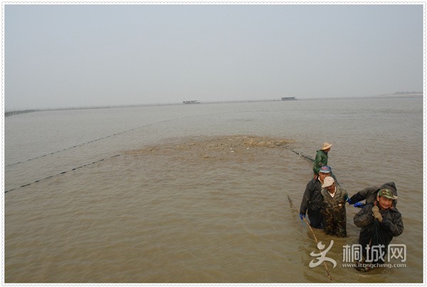 xizihu14.jpg