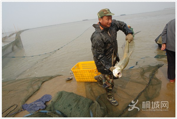xizihu12.jpg