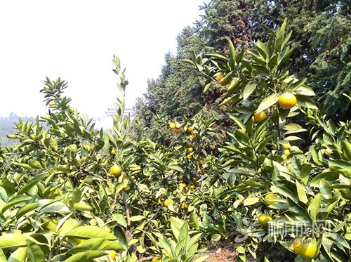 YP20131027100638247_.jpg