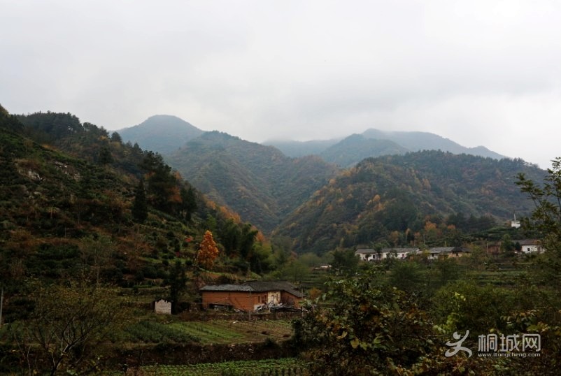 QQͼ20010112054444_conew1.jpg