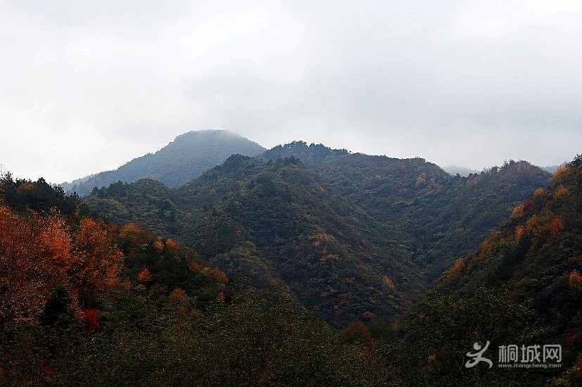 QQͼ20010112054628_conew1.jpg