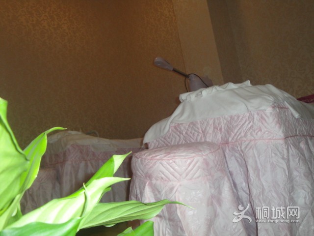DSC01626.JPG
