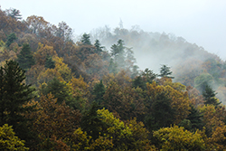 IMG_7526.JPG