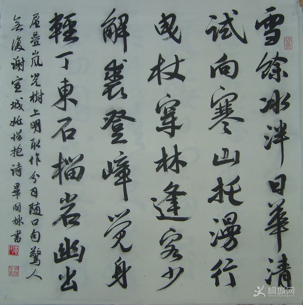 S6004608.JPG