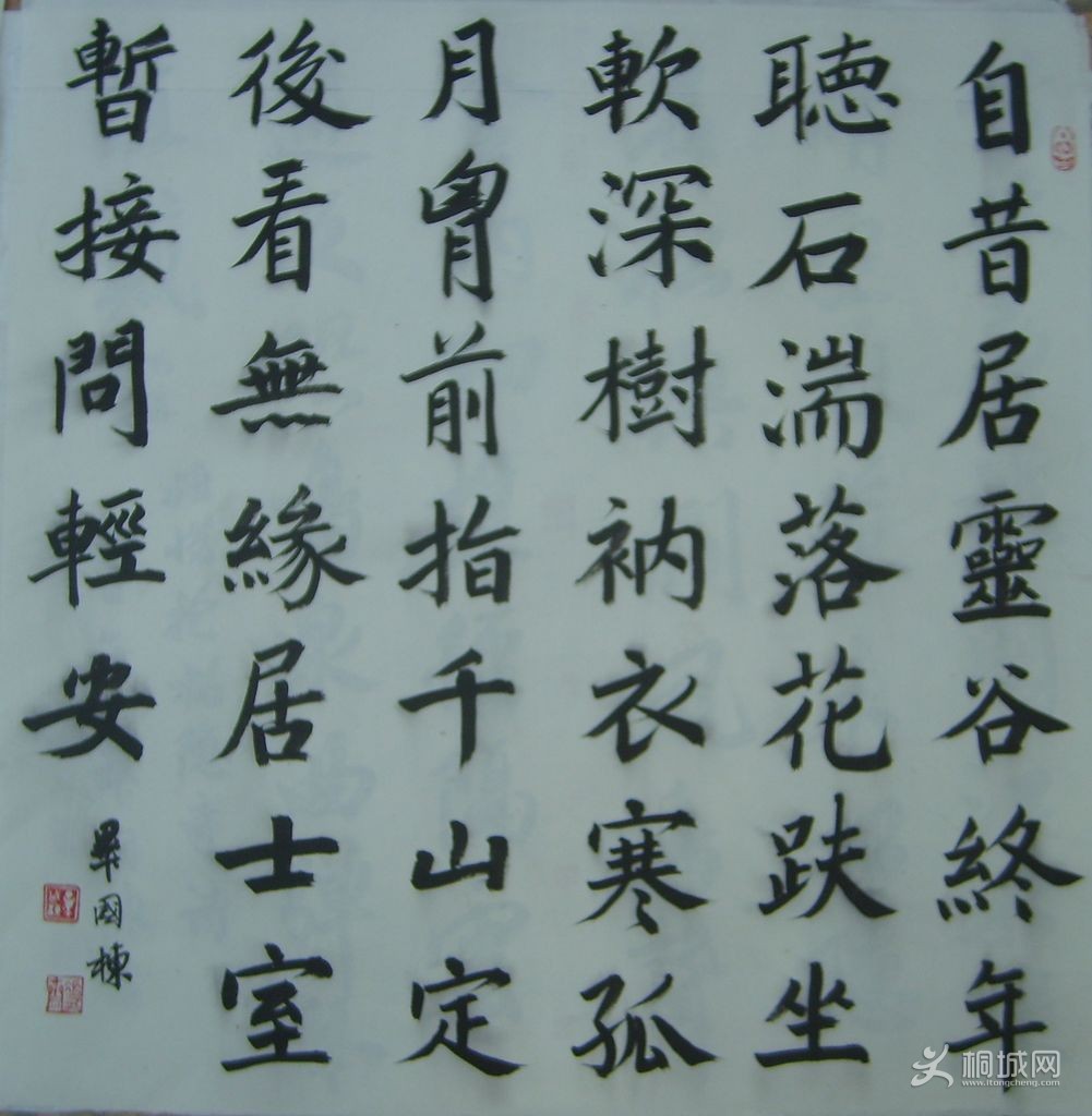 S6004612.JPG
