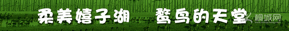 Ӻ.gif