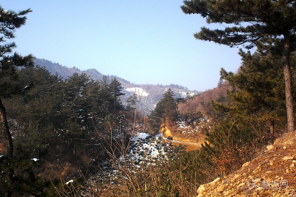 ķ羰8_.JPG