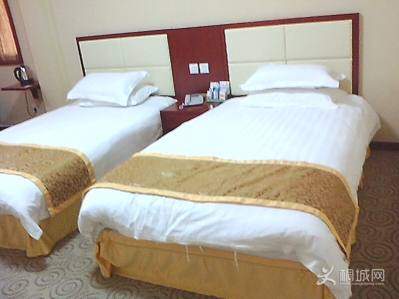 IMG1595A_A.jpg