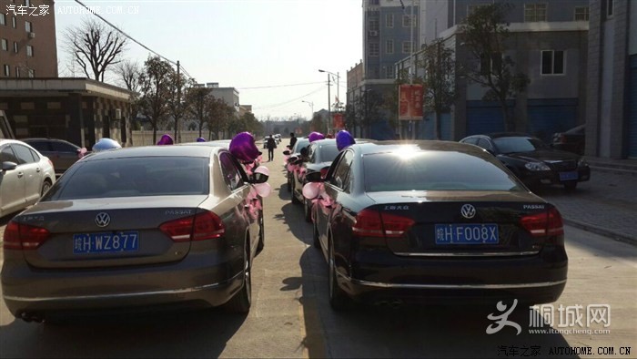 ziyou1.jpg