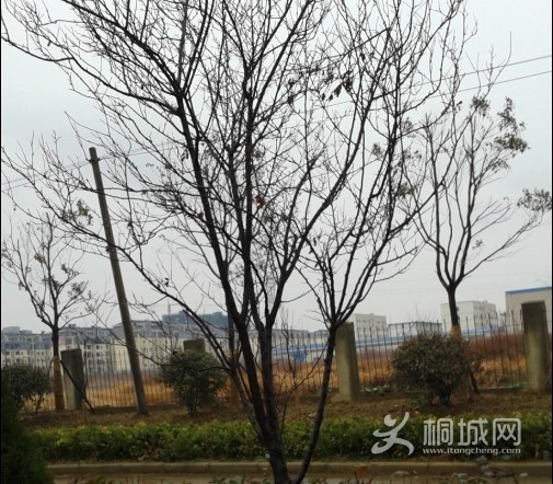 QQͼƬ20140212122110.jpg
