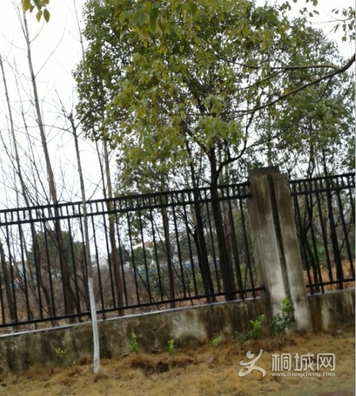 QQͼƬ20140212123810.jpg