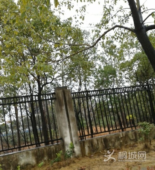 QQͼƬ20140212124201.jpg