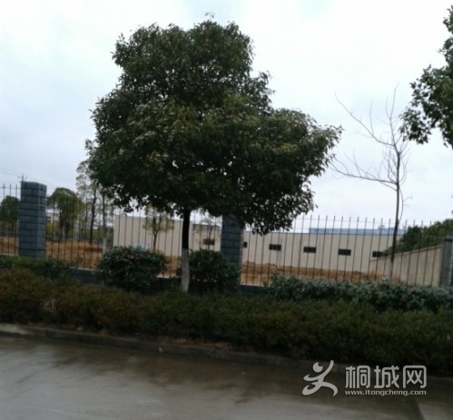 QQͼƬ20140212124355.jpg