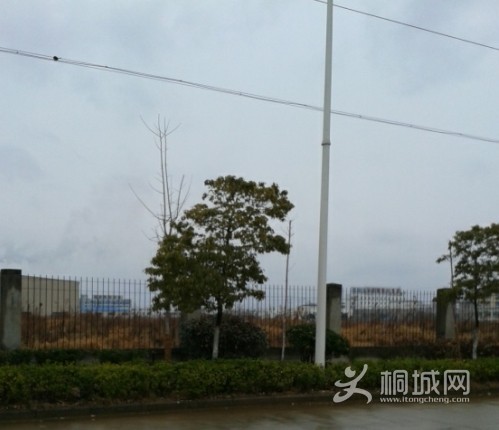 QQͼƬ20140212124548.jpg
