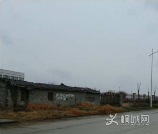 QQͼƬ20140212145339.jpg